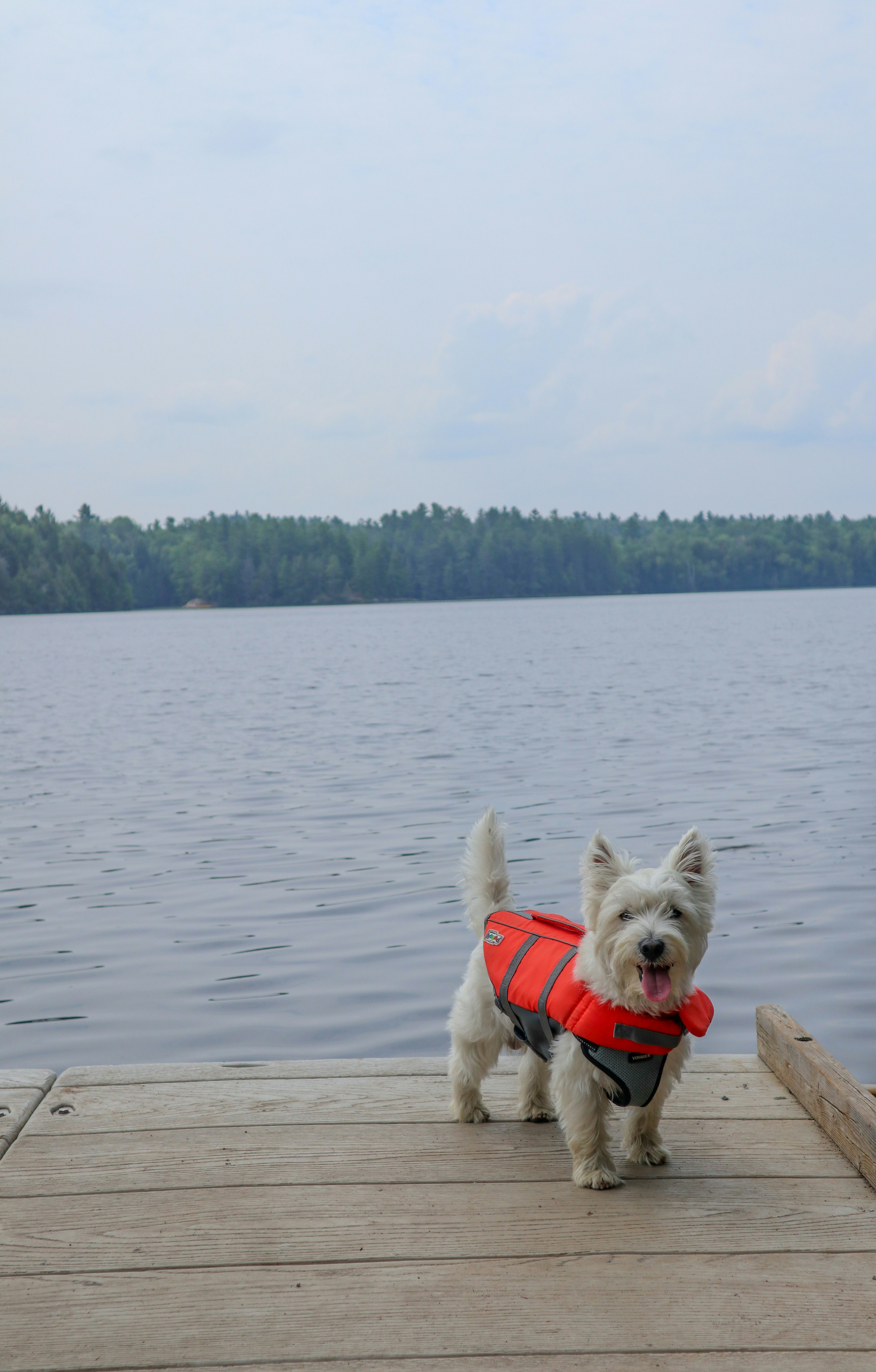 Navigation & Safety