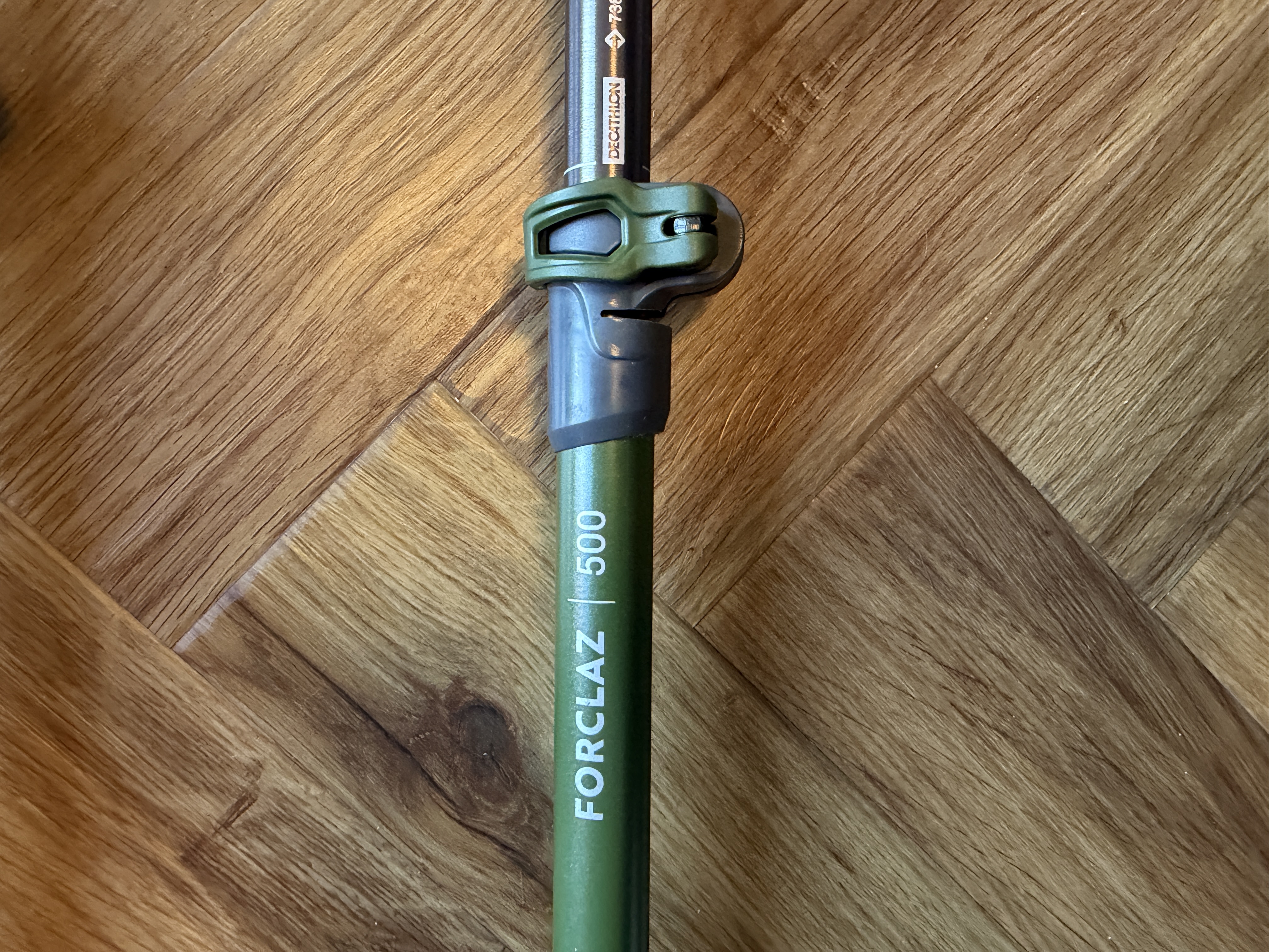 Decathlon Forclaz 100 trekking poles