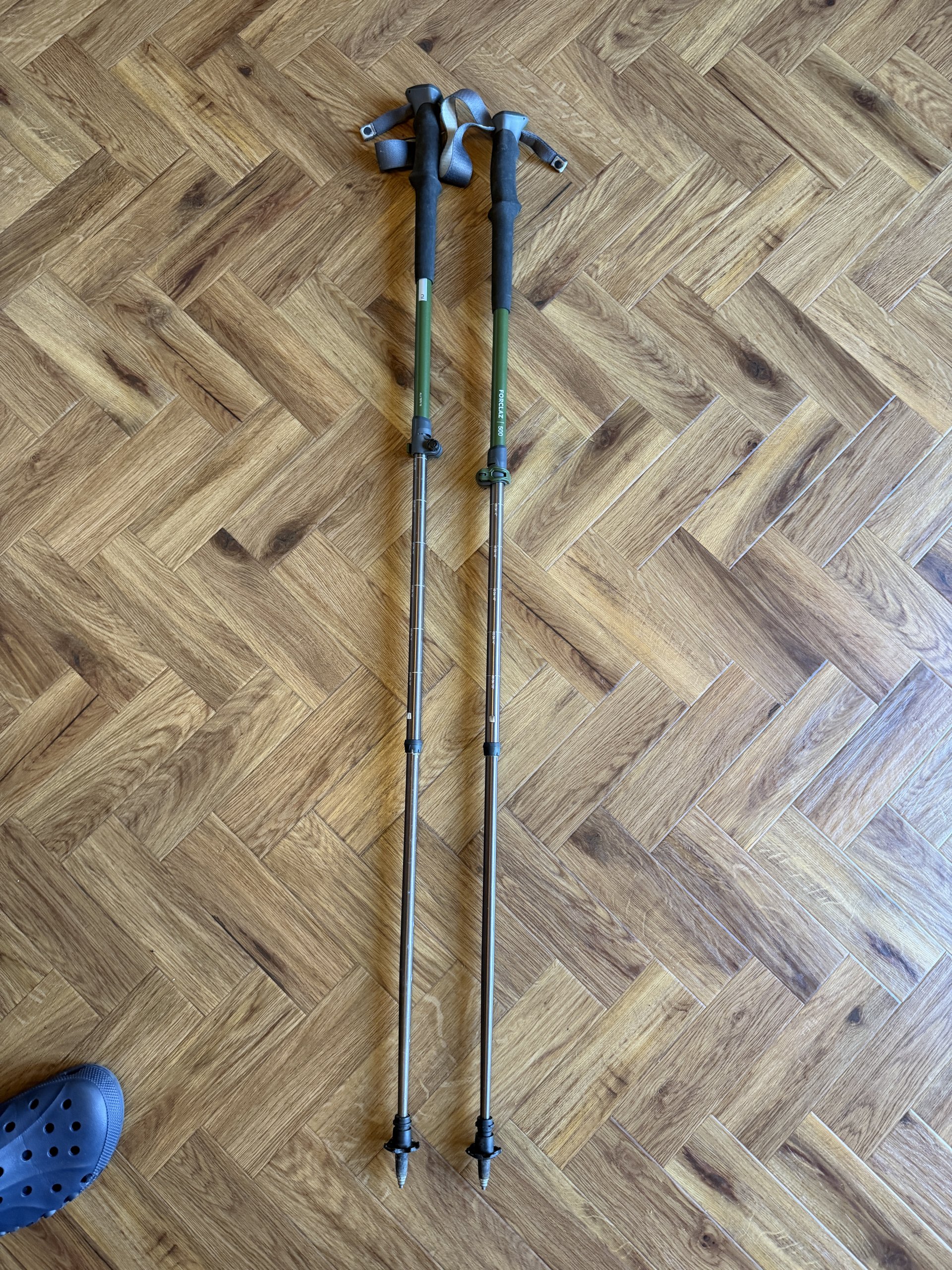 Decathlon Forclaz 100 trekking poles